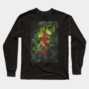 Berries Long Sleeve T-Shirt